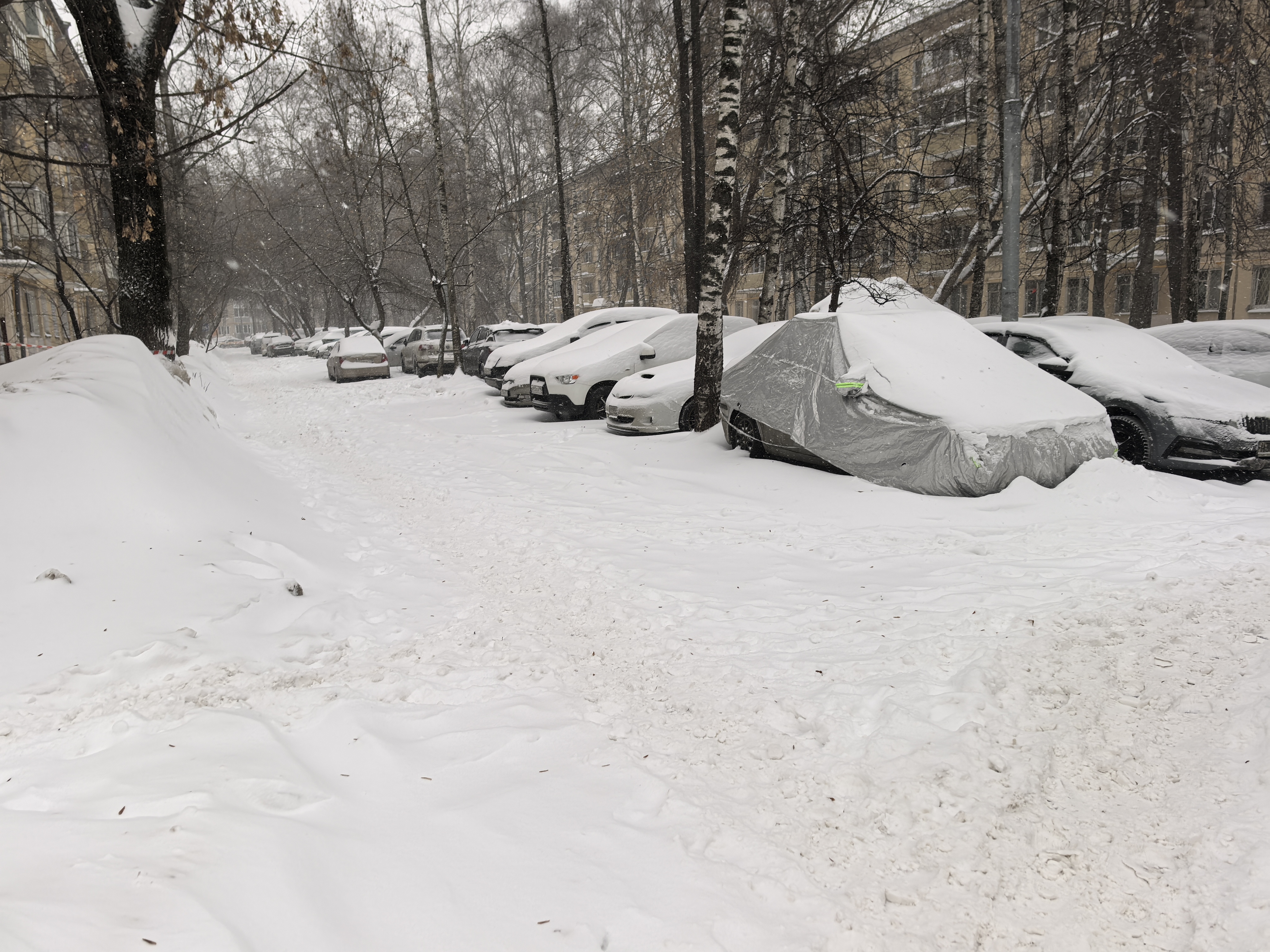 Дворовая территория, покрытая снегом, с припаркованными автомобилями вдоль дороги и жилыми домами на заднем плане.