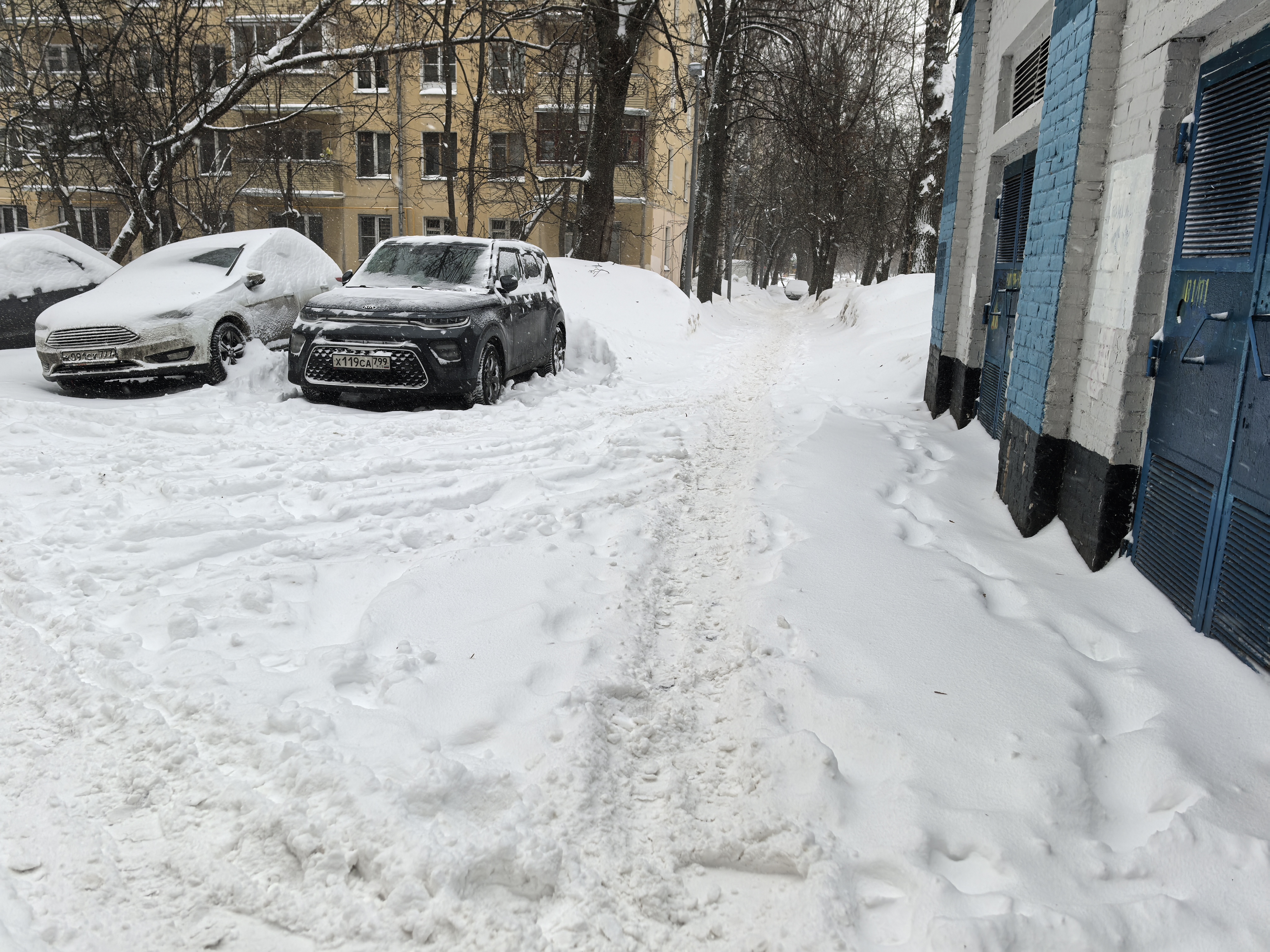 Дворовая территория, покрытая снегом, с припаркованными автомобилями и узким проходом для пешеходов