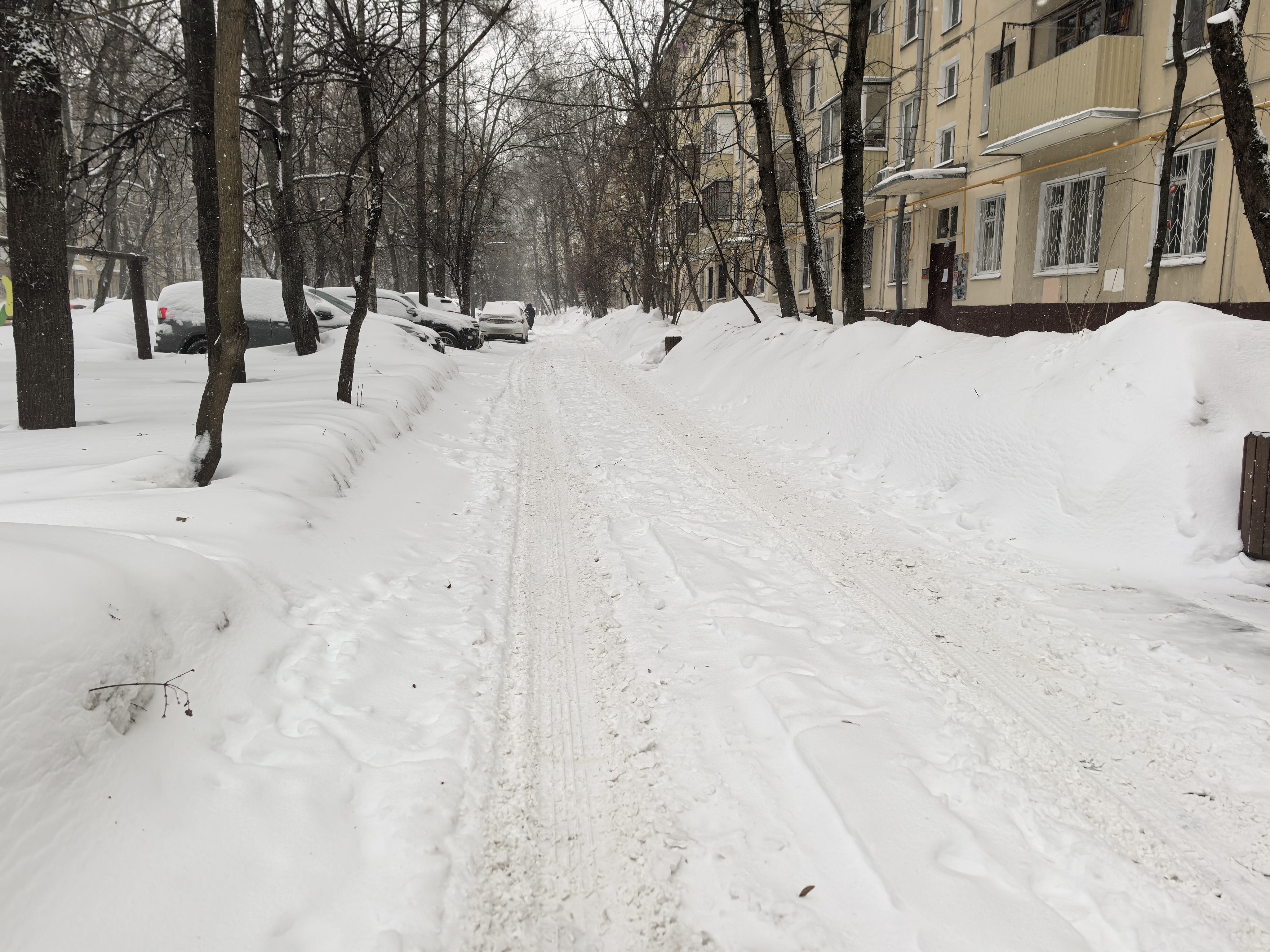 Дворовая территория, заснеженная проезжая часть между жилыми домами и деревьями. Тротуаров нет, движение пешеходов осуществляется по проезжей части.