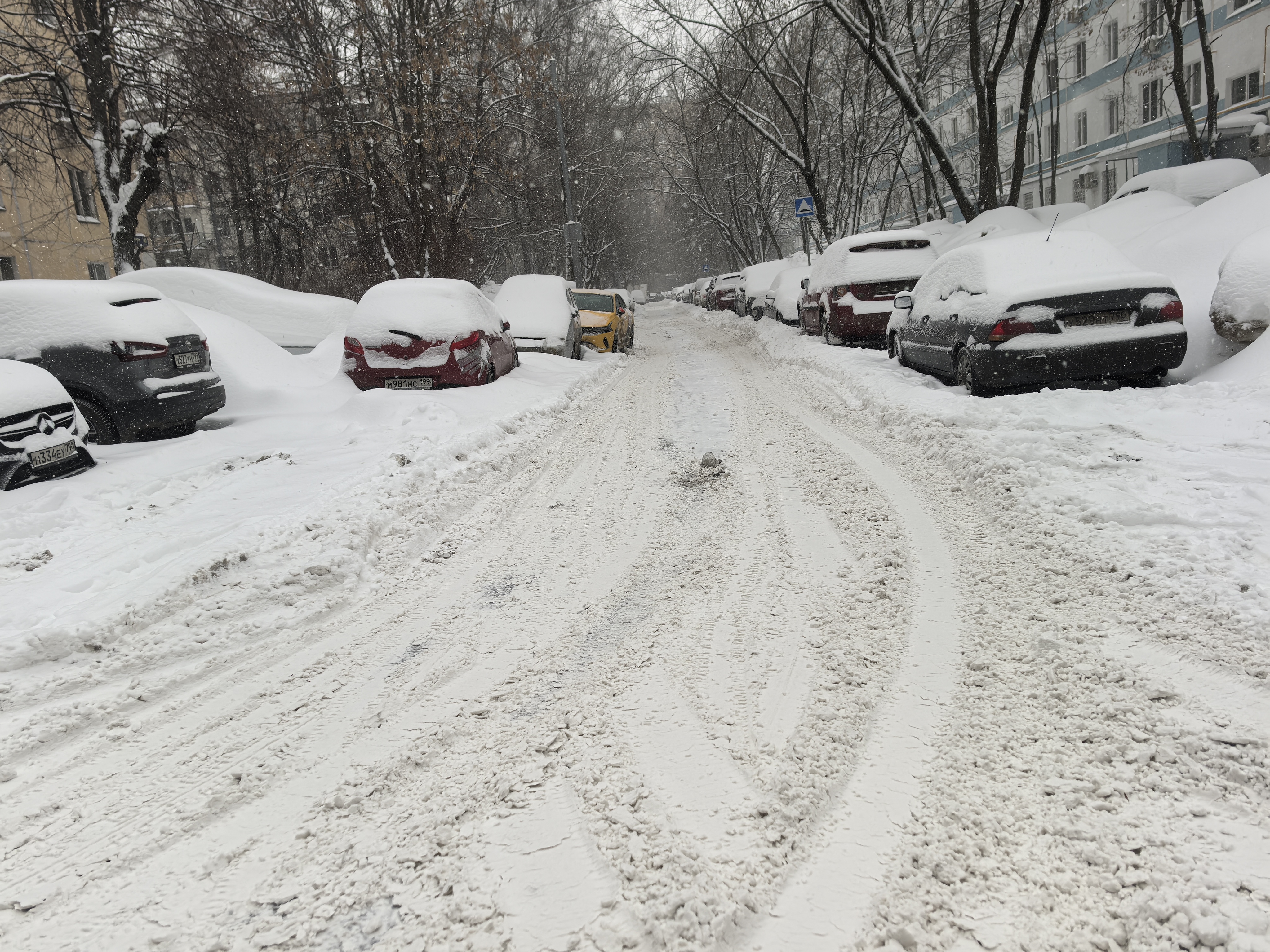 Дворовая территория, заснеженная проезжая часть, припаркованные автомобили по обеим сторонам, видны жилые дома и деревья