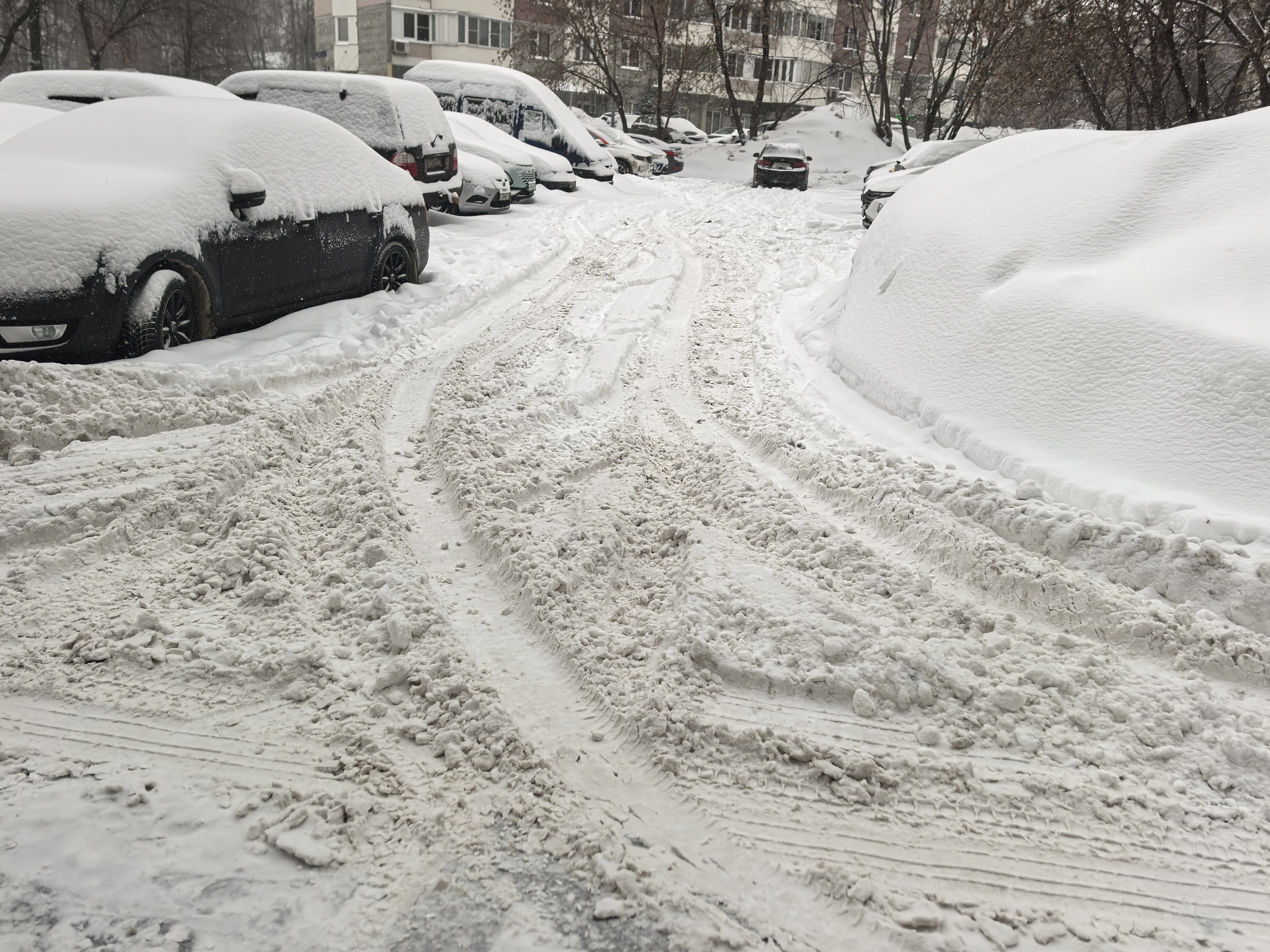 Дворовая территория, покрытая снегом, с припаркованными автомобилями по обеим сторонам проезжей части