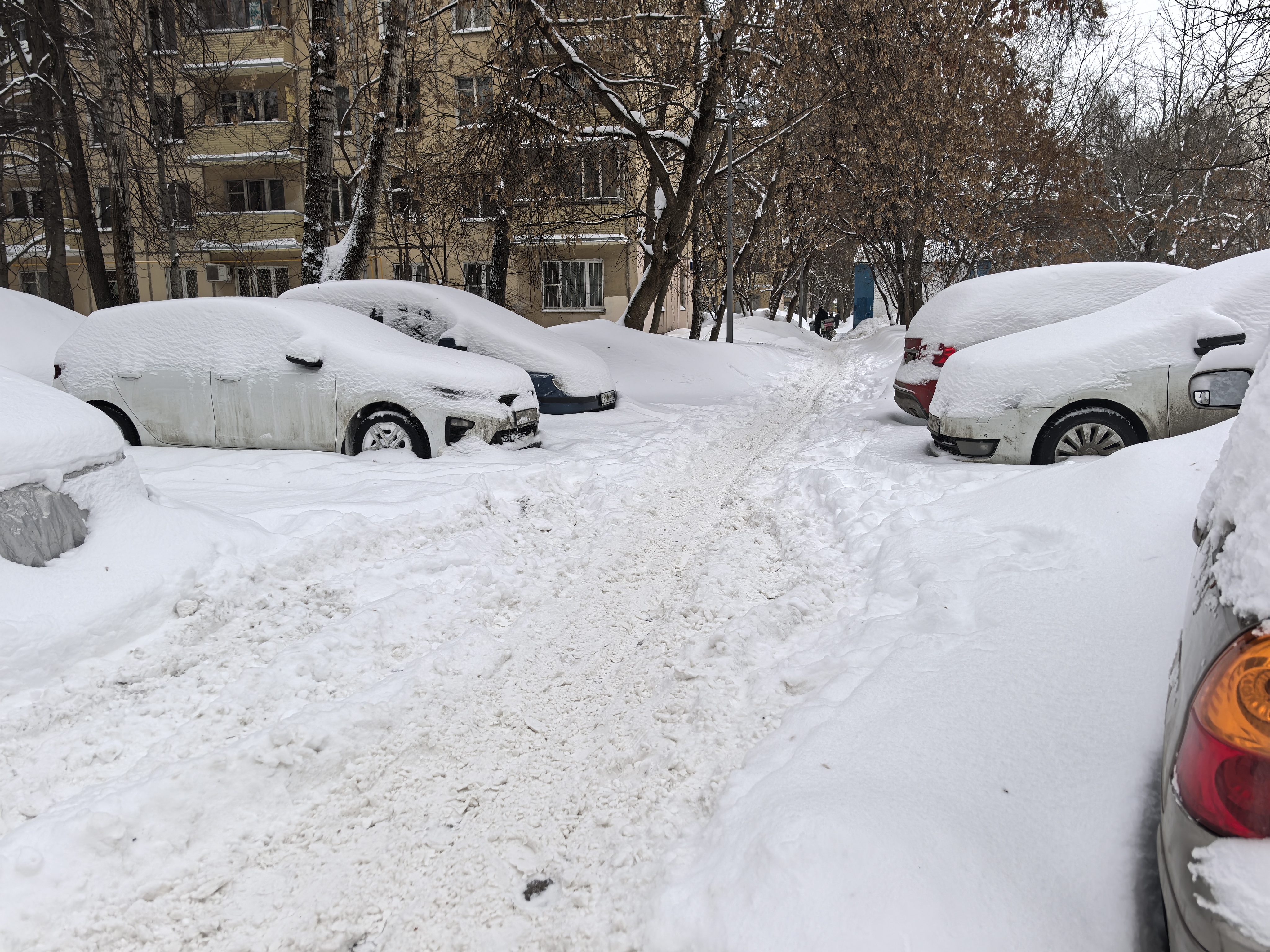 Дворовая территория, покрытая снегом, с припаркованными автомобилями по обеим сторонам проезжей части. Видны жилые дома и деревья.