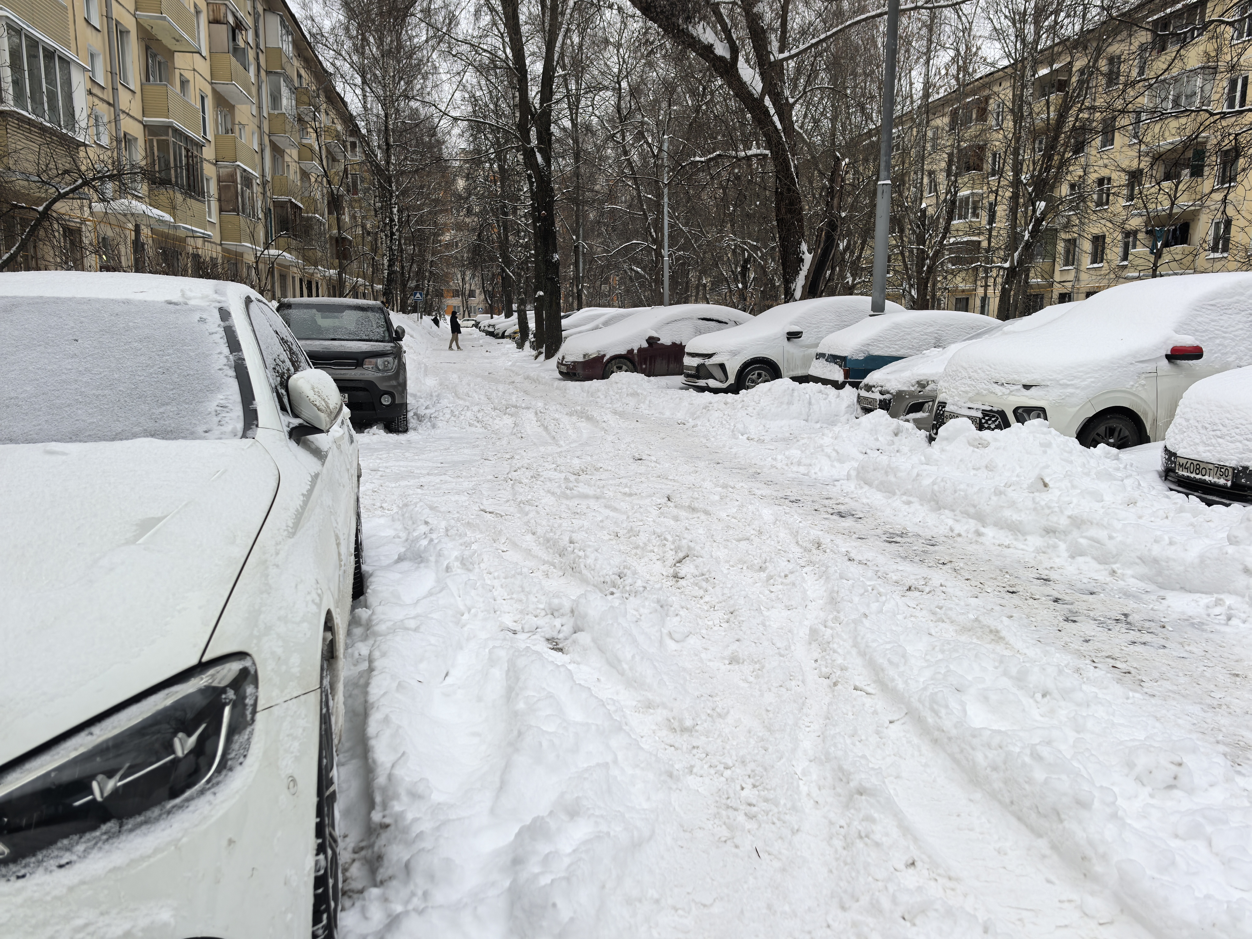 Дворовая территория, покрытая снегом, с припаркованными автомобилями по обеим сторонам проезжей части. Видны жилые дома и деревья.
