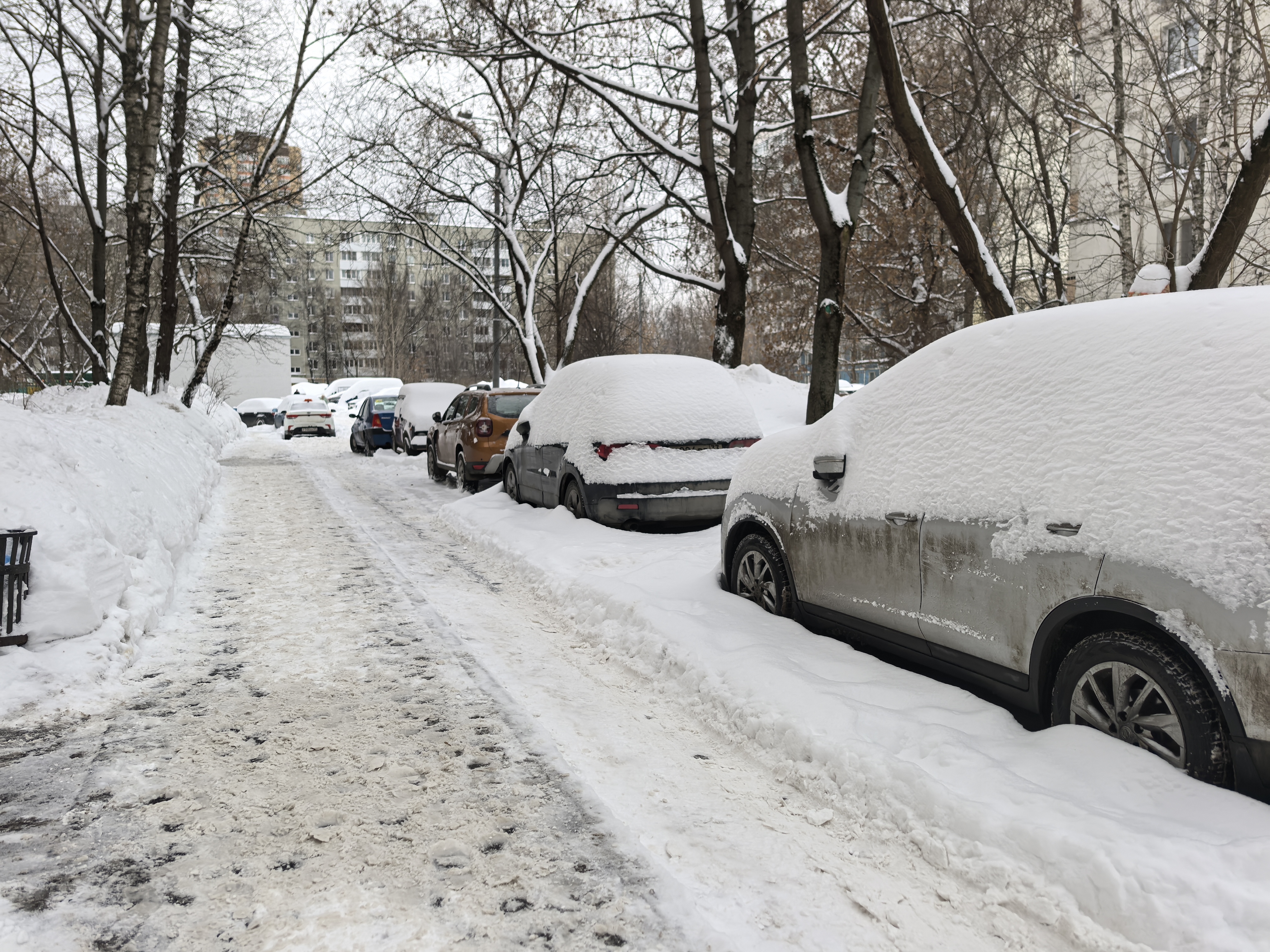 Дворовая территория, заснеженная проезжая часть с припаркованными автомобилями, видны жилые дома на заднем плане