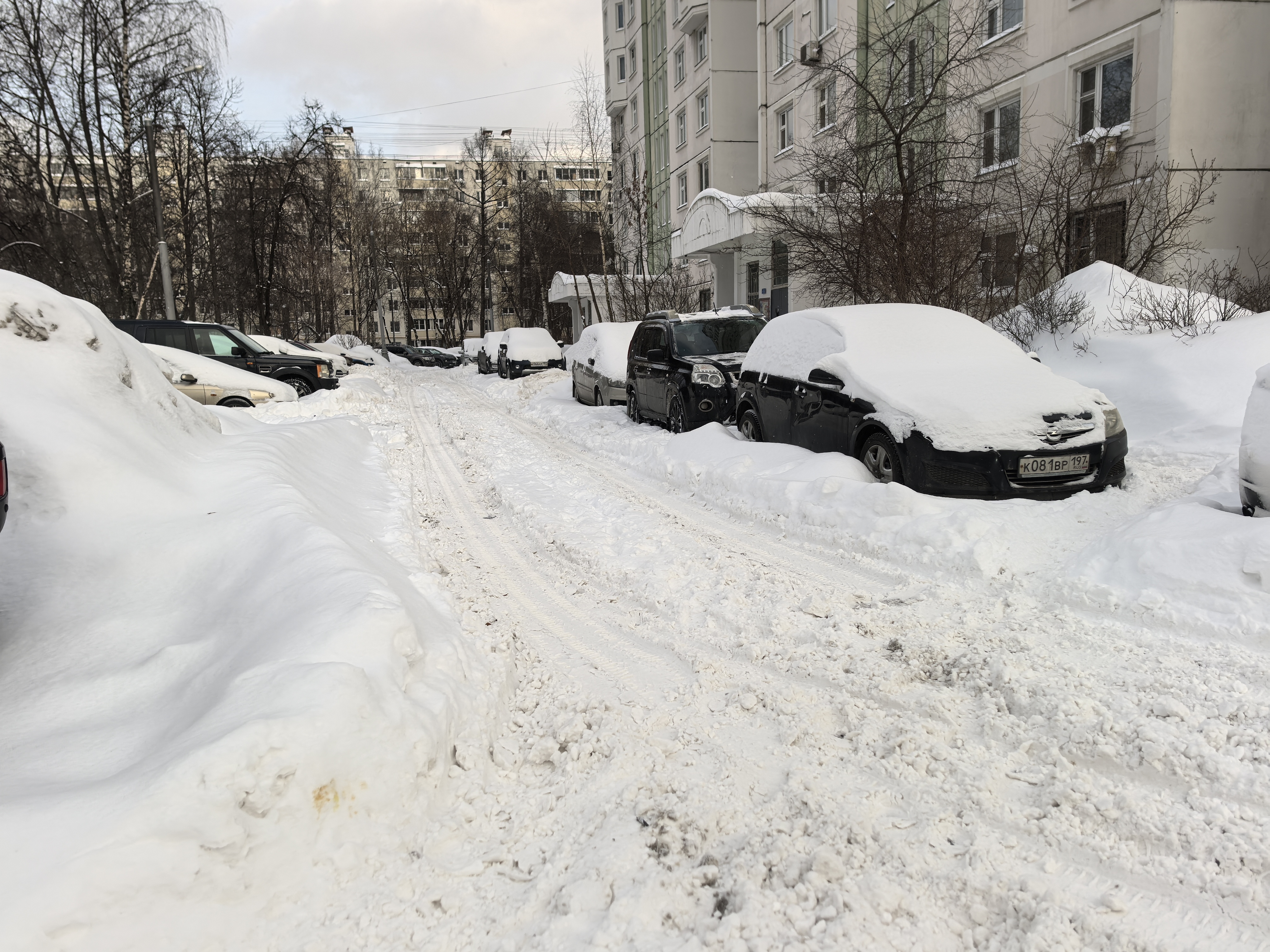 Дворовая территория, заснеженная проезжая часть между жилыми домами, припаркованные автомобили.