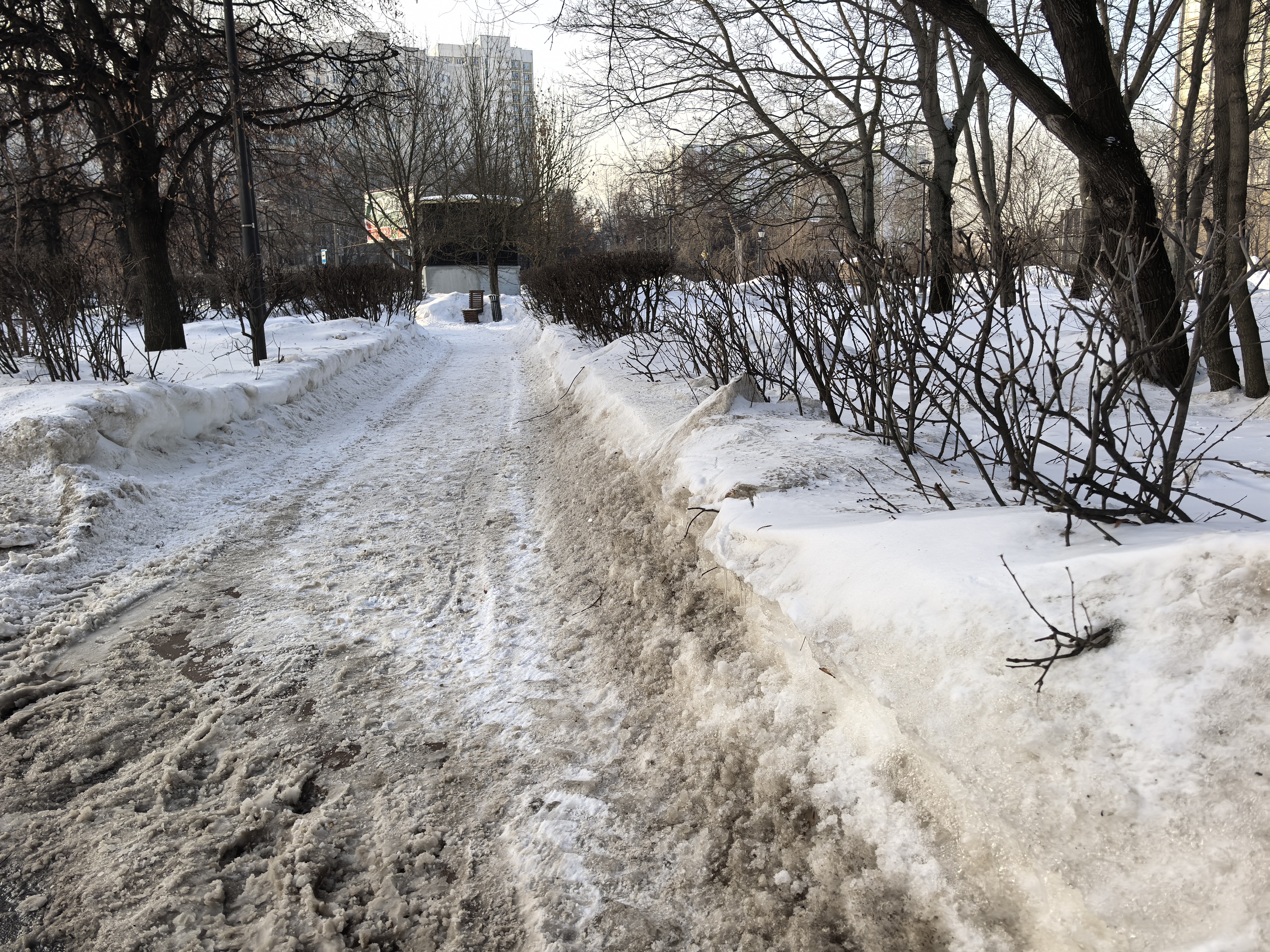 Дворовая территория или пешеходная дорожка в парке, покрытая снегом и льдом, окруженная деревьями и кустарниками. Видны скамейки и жилые дома на заднем плане.