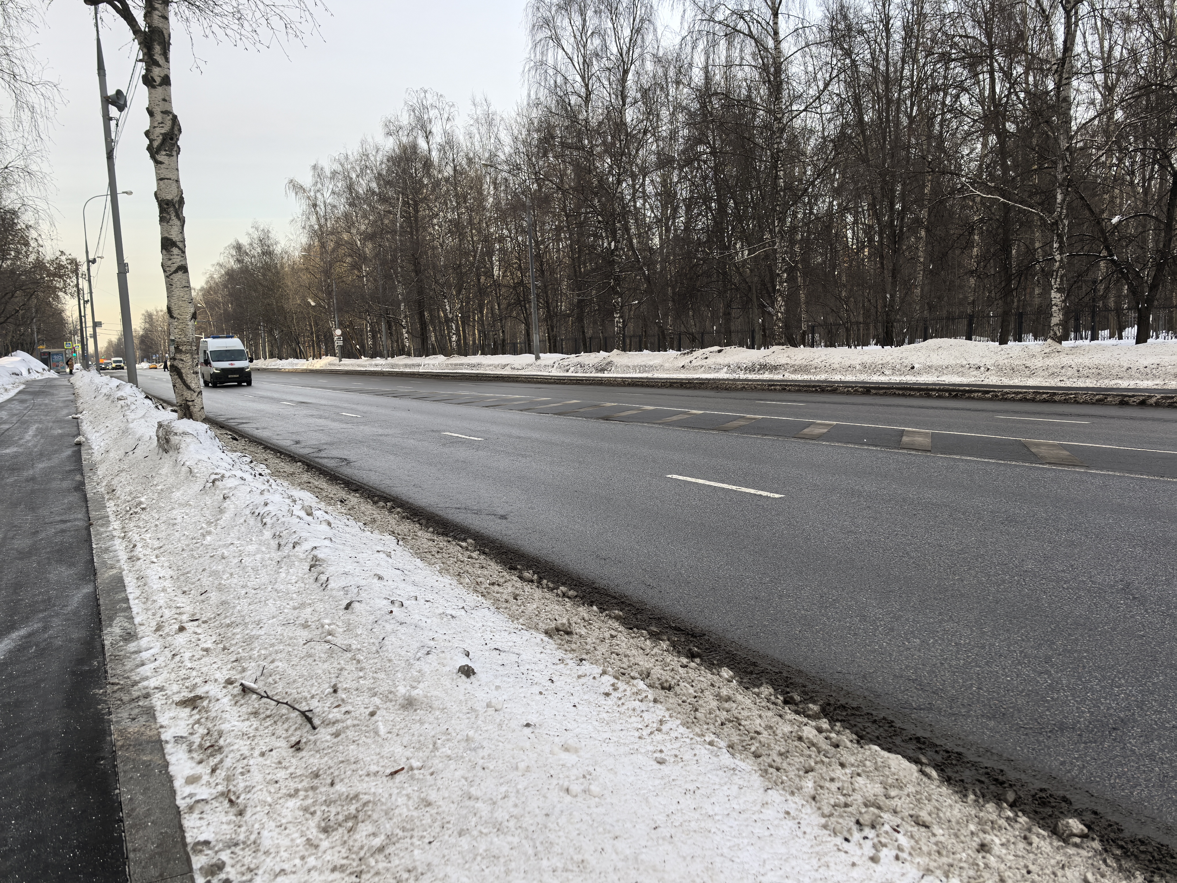 Широкая проезжая часть с пешеходным переходом (зебра), разделенная полосой с деревьями. Снег на обочинах, дорога чистая.